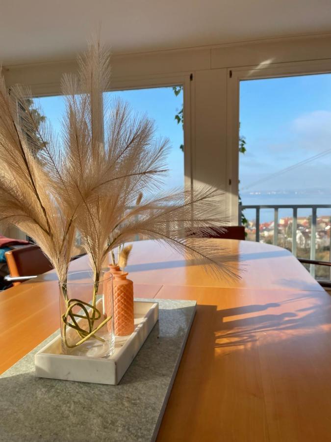 Villa Mit Traumhaftem Blick Uber Den Bodensee Brégence Extérieur photo